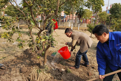 �Ϻ������y�T�S�����L(zh��ng)���������ڽo��(sh��)ľ����