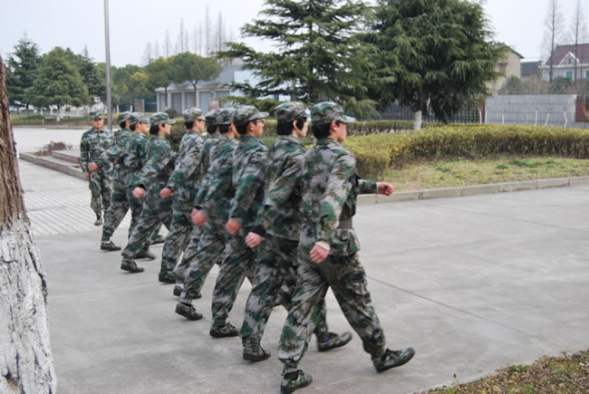 ����܊Ӗ(x��n)�D��2��