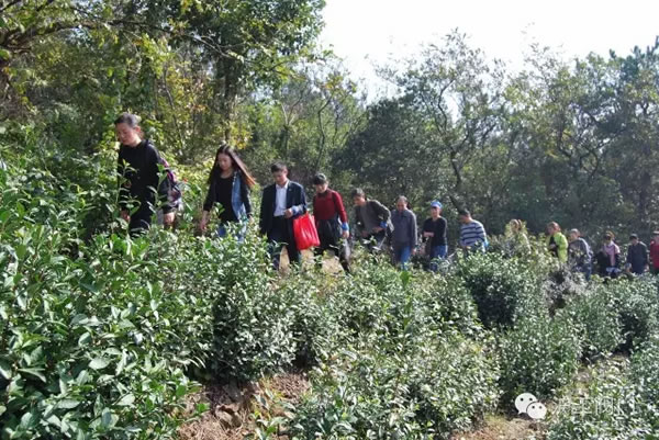 �Ϻ������y�T(m��n)�S(ch��ng)2016���＾ͽ�����л��(d��ng) �D5