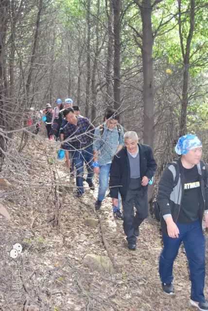 �Ϻ������y�T(m��n)�S(ch��ng)2016���＾ͽ�����л��(d��ng) �D12