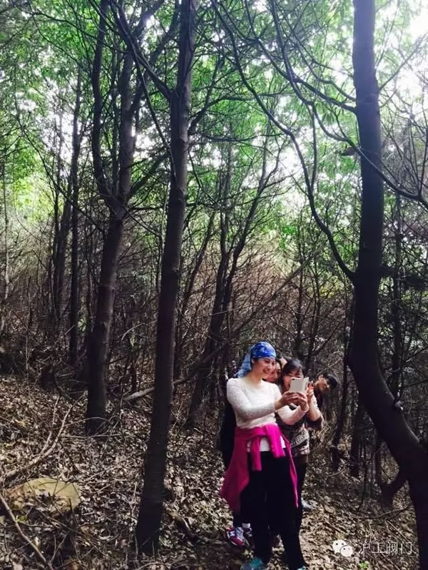 �Ϻ������y�T(m��n)�S(ch��ng)2016���＾ͽ�����л��(d��ng) �D14