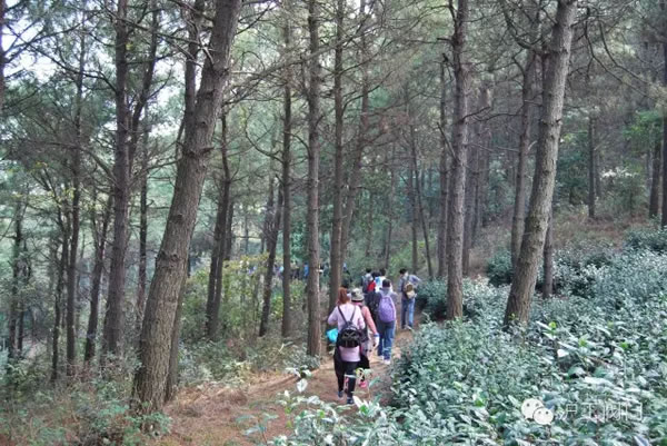 �Ϻ������y�T(m��n)�S(ch��ng)2016���＾ͽ�����л��(d��ng) �D24