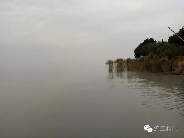 �Ϻ������y�T(m��n)�S(ch��ng)2016���＾ͽ�����л��(d��ng) �D26