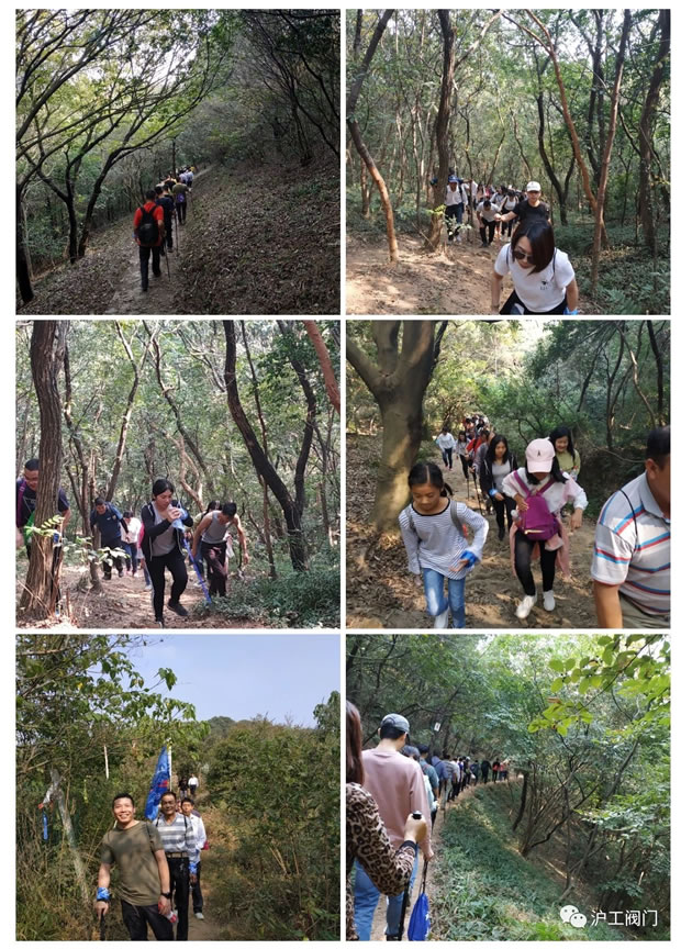 �Ϻ������y�T(m��n)�S(ch��ng)2019���＾ͽ�����л��(d��ng)���D4��